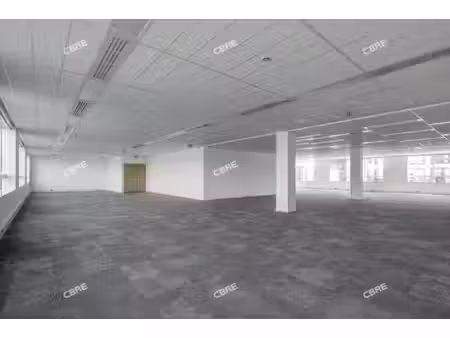 location local professionnel 355m²