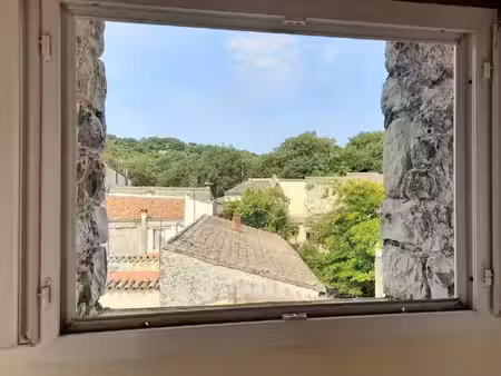 vente immeuble 135 m² sauve (30610)