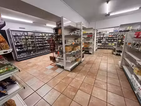 vente locaux professionnels 146 m² à amélie-les-bains-palalda (66110)  139 000 €