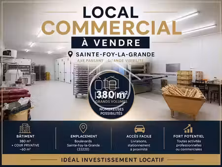 vente locaux professionnels 4 pièces 380 m² à sainte-foy-la-grande (33220)  365 000 €