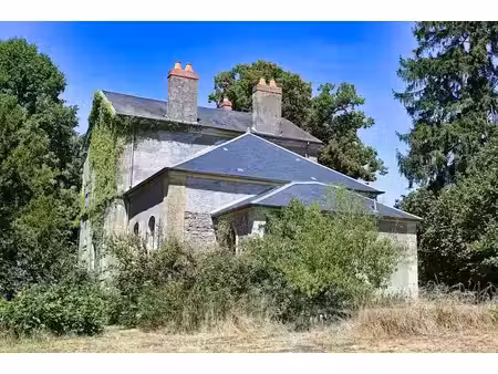 vente manoir 15 pièces 247.93 m² à montenoison (58700)  135 000 €