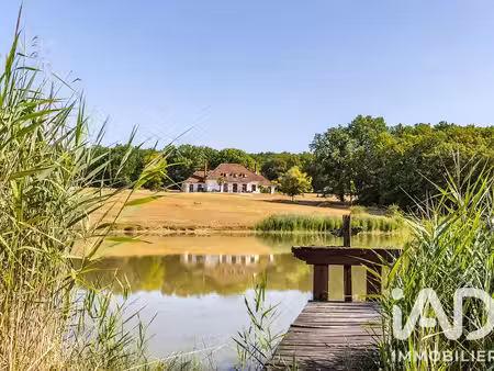 vente maison 11 pièces 520 m² la ferté-saint-cyr (41220)