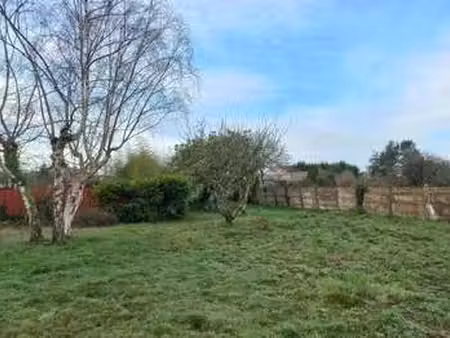 vente terrain à pont-saint-martin (44860) : à vendre / pont-saint-martin