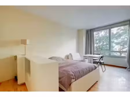 studio à vendre à ixelles