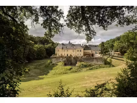 château à vendre à la bachellerie