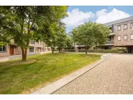 ruime bel-etage woning op de gelijkvloerse verdieping