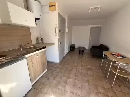 location appartement 1 pièce 21 m² à lyon 3 (69003)