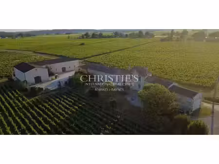 vignoble saint-emilion (33)