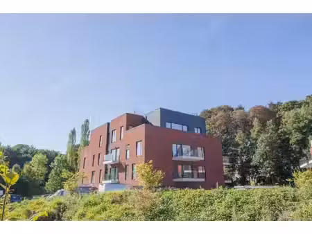 magnifique appartement 1 chambre + terrasse et parking