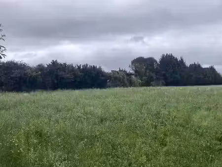 vente terrain 650 m² à l'isle-sur-la-sorgue (84800)  250 000 €
