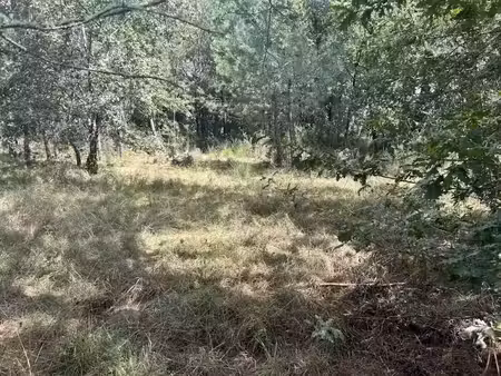 vente terrain 2800 m² à mézos (40170)  280 000 €