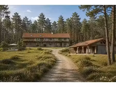 vente terrain 12000 m² à onesse-et-laharie (40110)  1 900 000 €