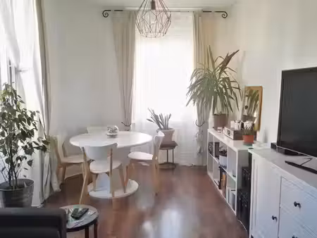 location appartement 3 pièces 51 m² à villeurbanne (69100)  843 €