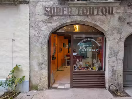 vente murs pro à pézenas
