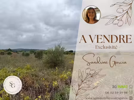 terrain agricole