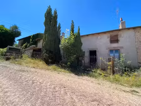vente maison 5 pièces 139 m² à saint-martin-d'estréaux (42620)  30 000 €