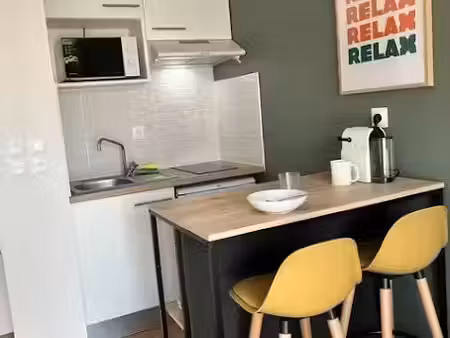 location meublée appartement 1 pièce 22 m² à albi (81000)  505 €