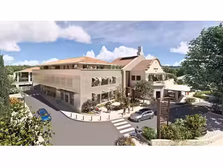 vente commerce noves 13550 45m² à 196m²