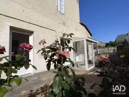 maison à neuillé-pont-pierre (37360)