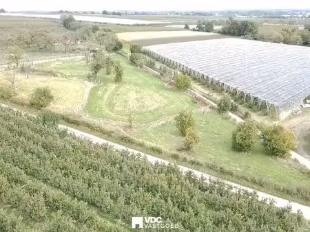 terrain à vendre à wellen € 59.500 (lqzyz) - vdc vastgoed | zimmo