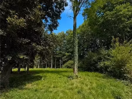terrain