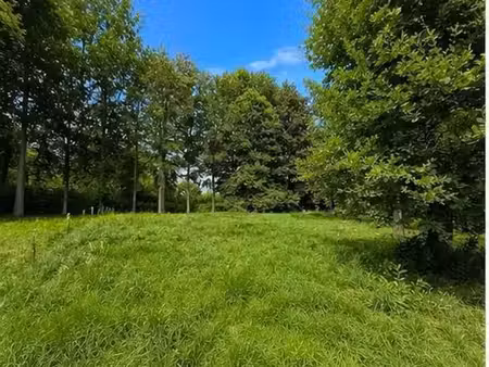 terrain
