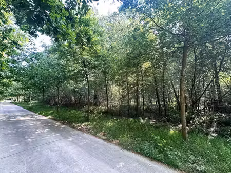 unieke bouwgrond (5.150m²) omringd door groen & privacy i...