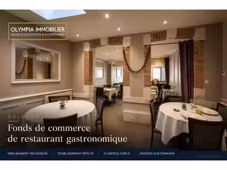 vente commerce orléans 45000 342m²