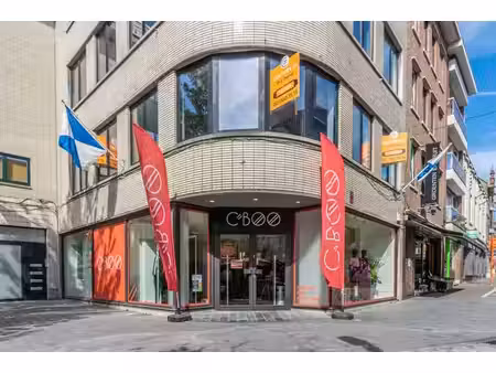 un espace commercial très spacieux (377 m²)!