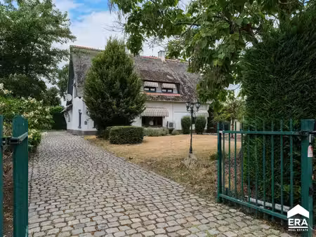 maison à vendre à overpelt € 495.000 (lr03b) - era carl tournier (pelt) | zimmo