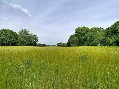 beau terrain agricole