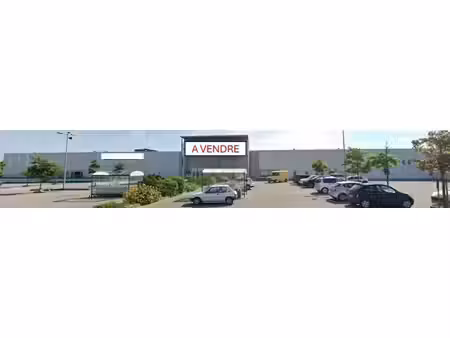 vente local d’activités pompaire 79200 6315m²