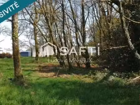vente terrain à limerzel (56220) : à vendre / 1240m² limerzel