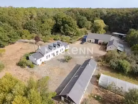 vente maison à savigné-sous-le-lude (72800) : à vendre / 193m² savigné-sous-le-lude