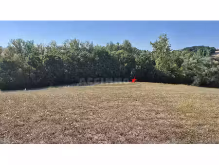 terrain