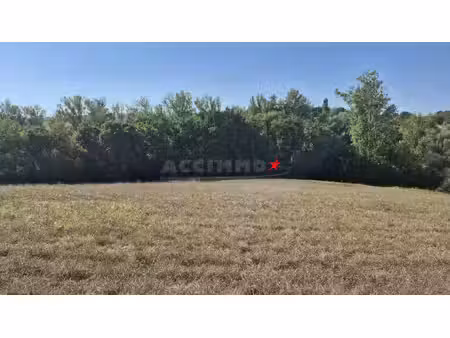 terrain