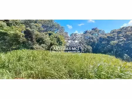 superbe terrain à la campagne