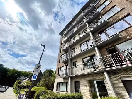 appartement à louer à karel mestdaghplein 13 wilrijk (rbw67989)