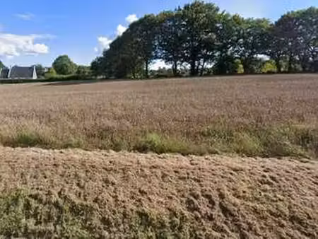 vente terrain à névez (29920) : à vendre / névez