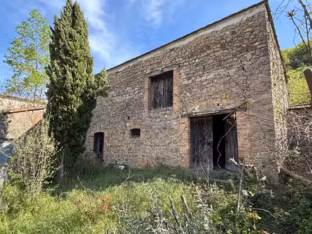ancienne grange à restaurer