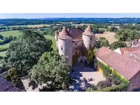 vente château 12 pièces 550 m² à parisot (82160)  1 275 000 €