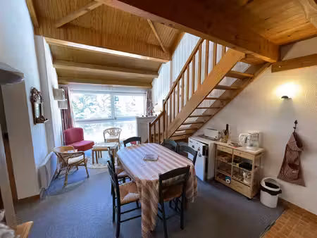 achat appartement 1 pièce 53m² laveissiere 15300