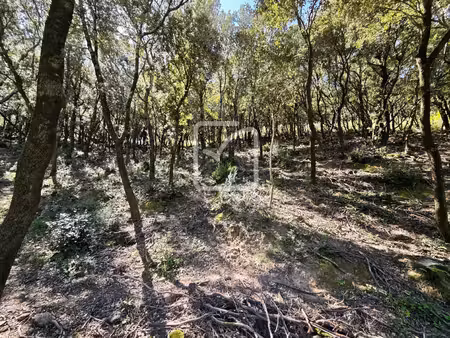 beau et grand terrain constructible environnement nature!