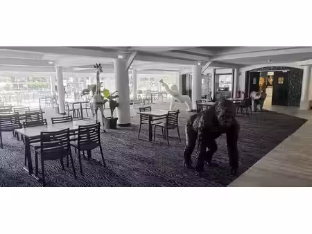 royan hotel restaurant murs commerciaux
