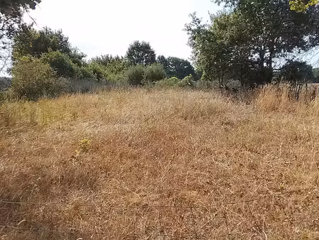 terrain agricole à soulaines-sur-aubance (49610)