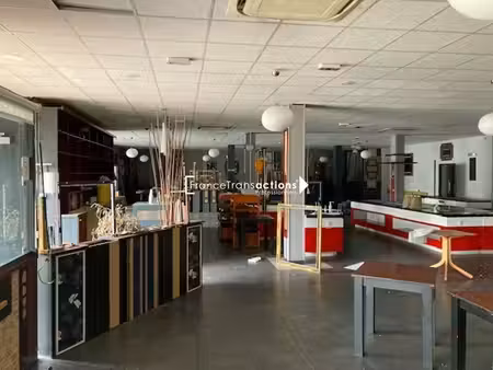 location commerce roques 31120 612m²
