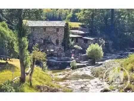ancien moulin idyllique à la brigue