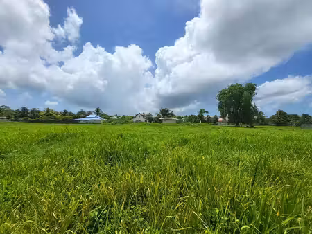achat terrain 710m² les abymes 97139