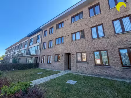 appartement te huur in lint met 2 slaapkamers