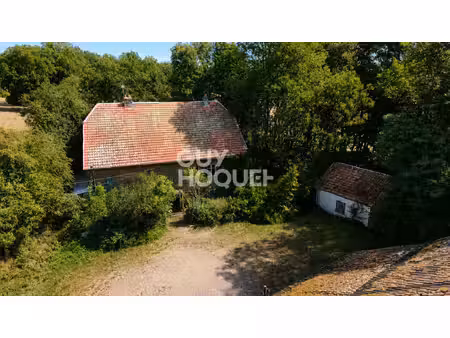 ensemble immobilier de caractère avec ancien moulin à larivière